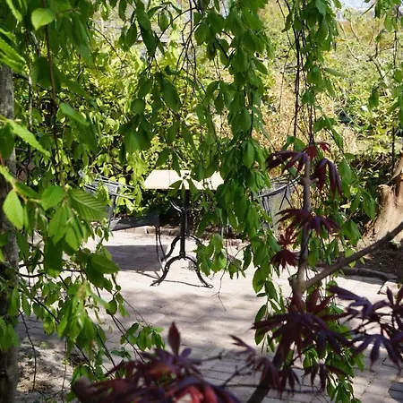 Sandra's 4* Oostvoorne