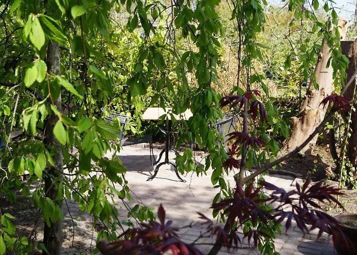 Sandra’s 4* Oostvoorne